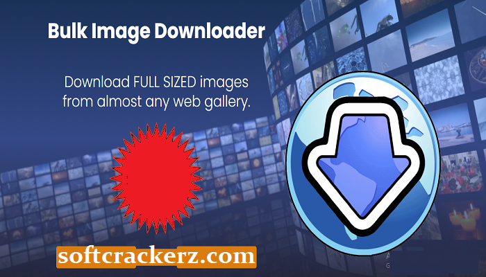 downloading Bulk Image Downloader 6.34